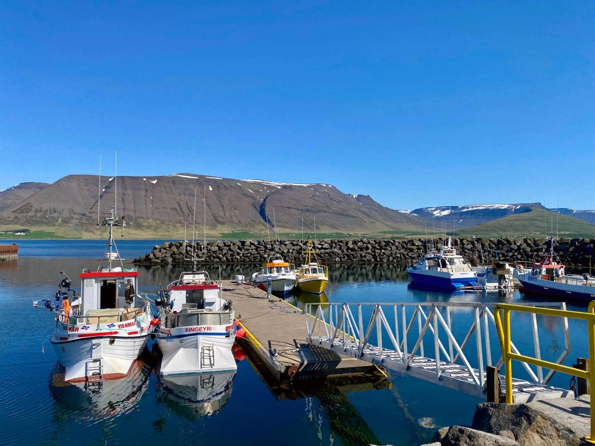 Kex Þingeyri Thingeyri Exterior photo